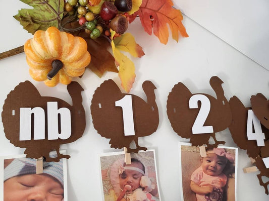 Little turkey photo banner-Turkey Thanksgiving Milestone banner-turkey boy girl monthly banner-turkey milestone banner-little turkey banner